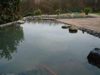 teich054.jpg