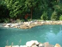 teich2.jpg